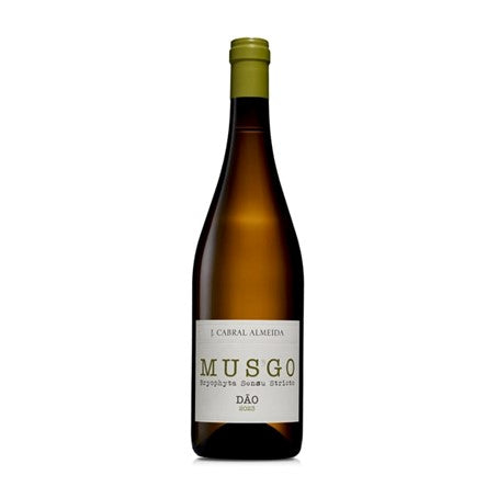 Musgo Branco 2023 : CX 3UNI