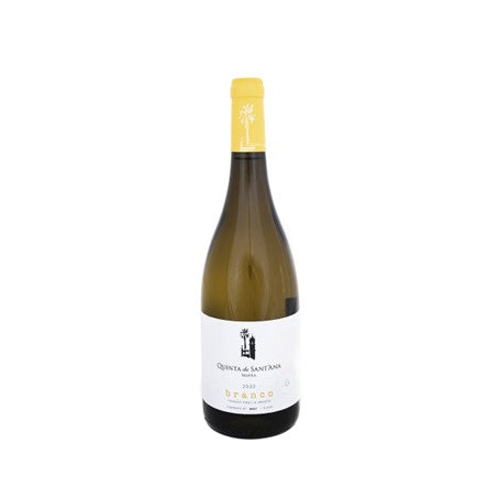 Quinta de Sant'Ana Branco 2023 : CX 3UNI