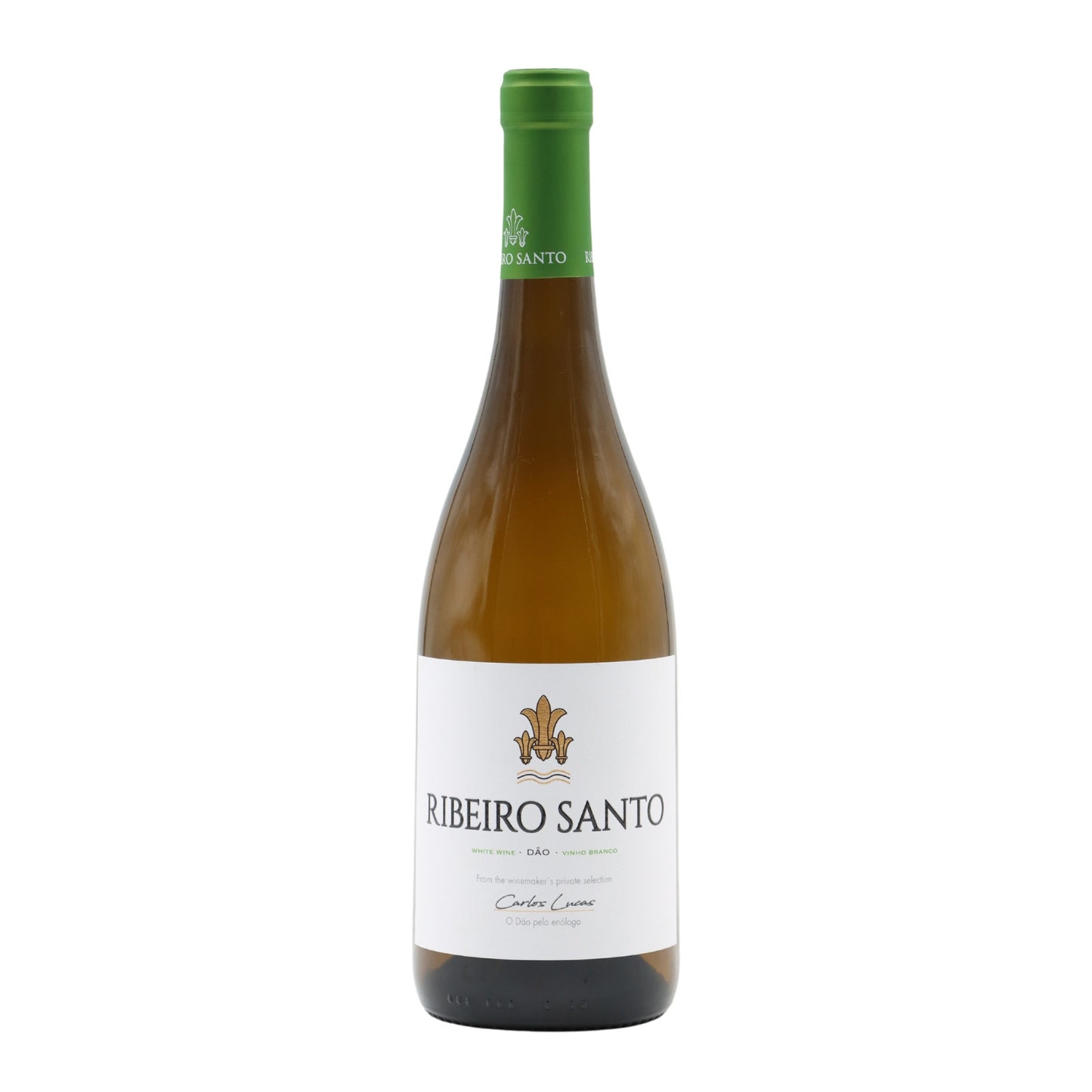 Ribeiro Santo Branco 2024 : CX 3UNI