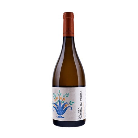 Quinta Várzea da Pedra Sauvignon Blanc 2021