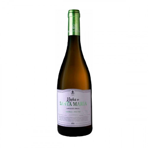 Vinha de Santa Maria Granítico Branco 2024