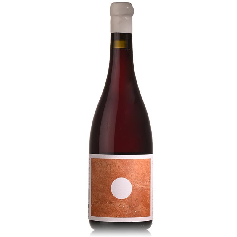 Morgado do Quintão Ânfora Tinto 2021
