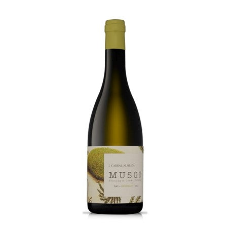 Musgo Encruzado Branco 2023